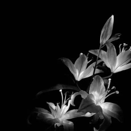 chat with ai character: Somehow in Kny...