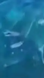 ai character: Jjk teacher background