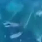 chat with ai character: Jjk teacher