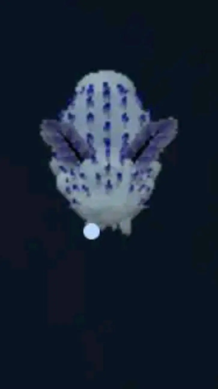 ai character: sea bunny swarm background