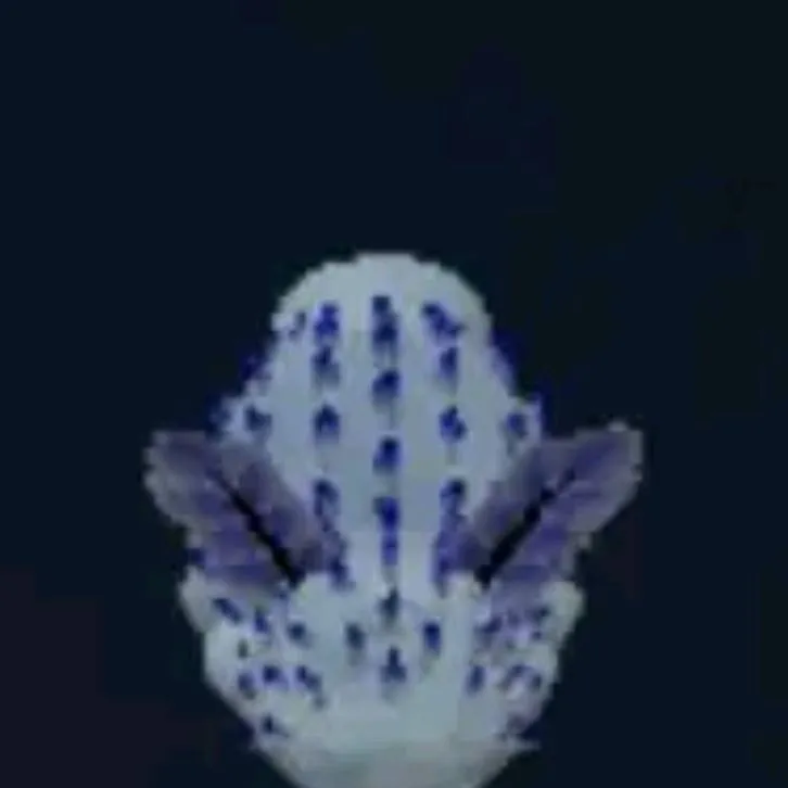 chat with ai character: sea bunny swarm