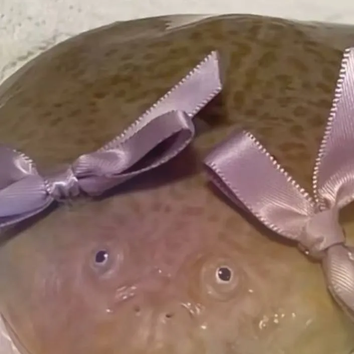 chat with ai character: курлык