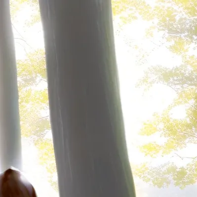 chat with ai character: ✾dw unknown place❃