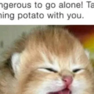 chat with ai character: OH HELL NAHHHHH