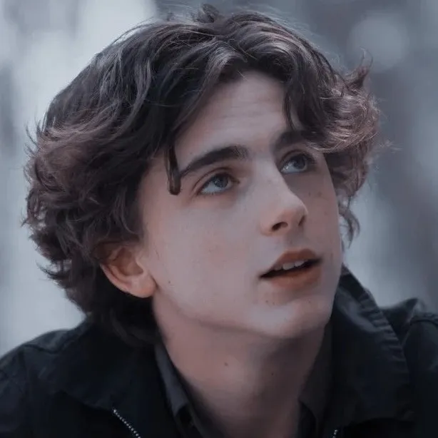 chat with ai character: Regulus Black