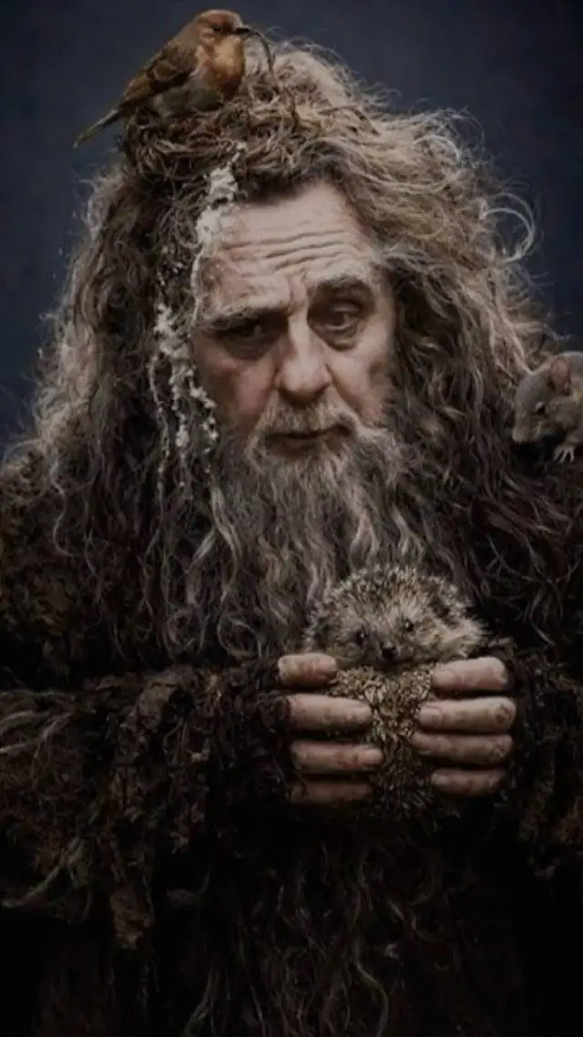 Talkie AI - Chat with Radagast the Brown