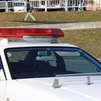 chat with ai character: escape chase