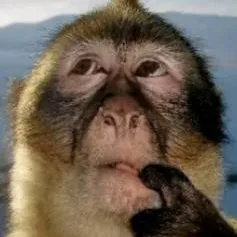 chat with ai character: Dandy's world💫