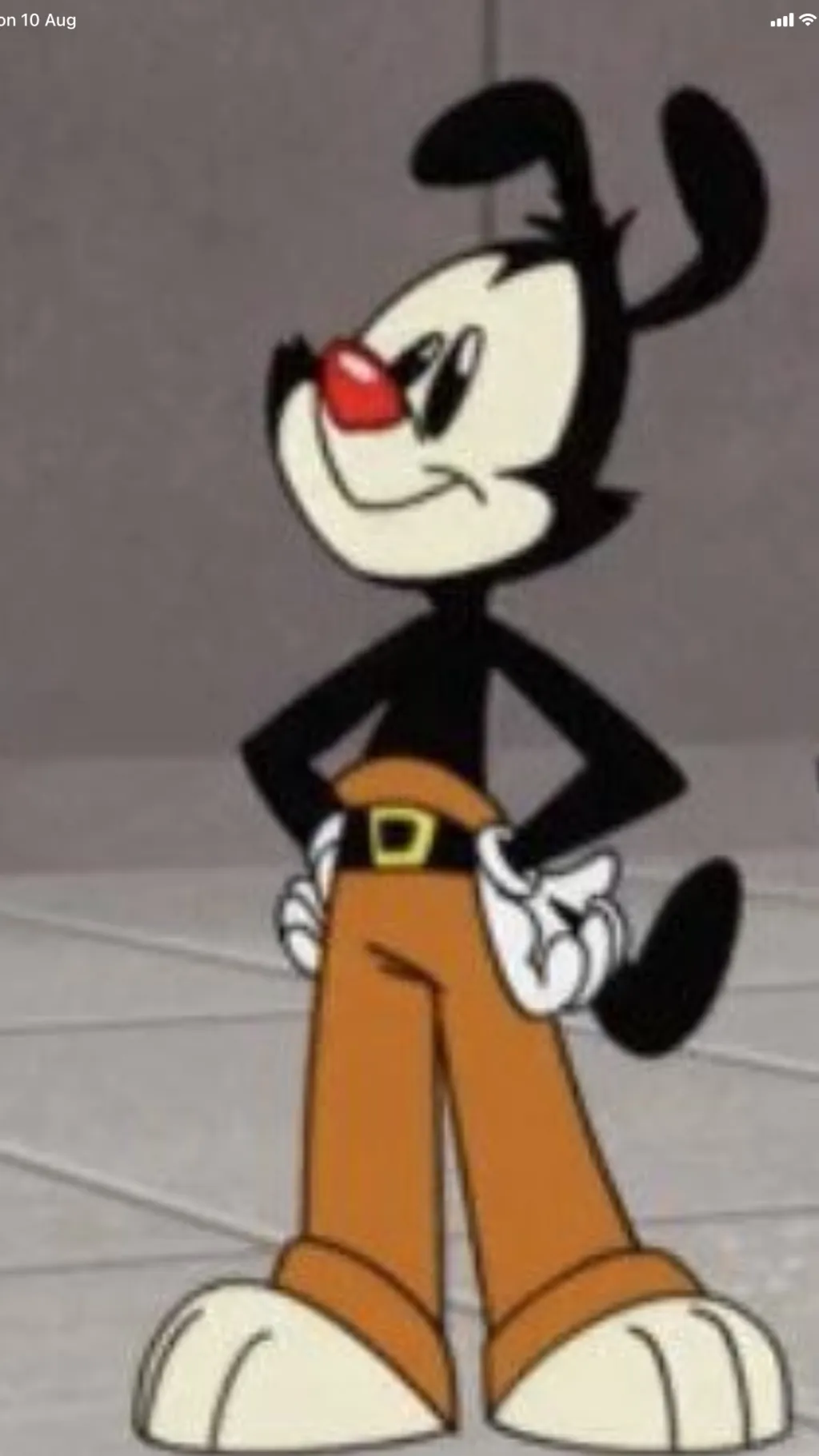 ai character: Yakko Warner background