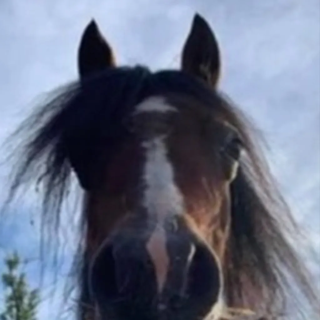 chat with ai character: Puzzle the horse 