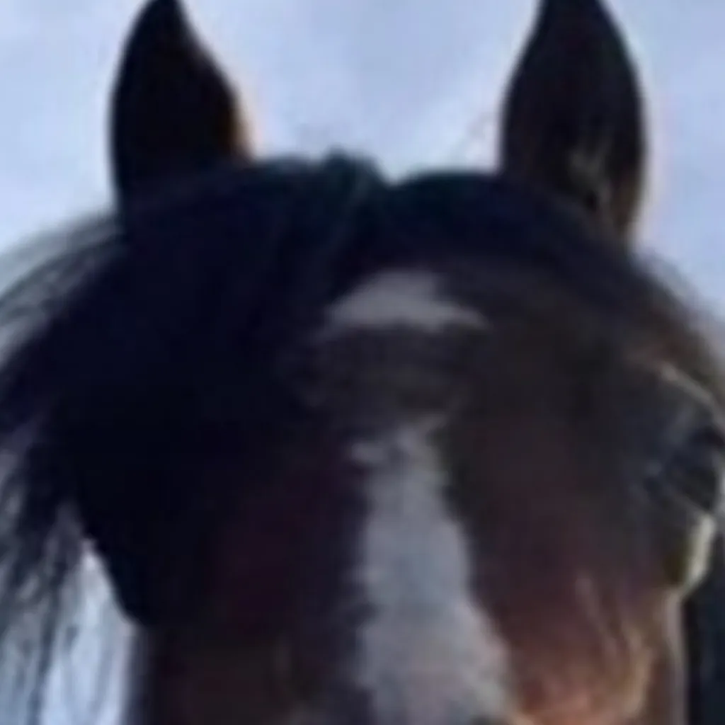 chat with ai character: Your a bad horse