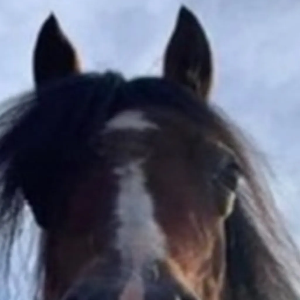 chat with ai character: Posses horse.