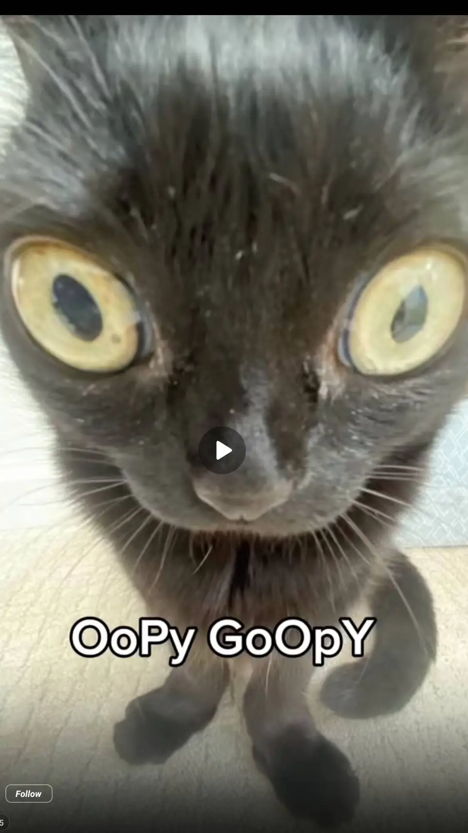 ai character: alastoe background