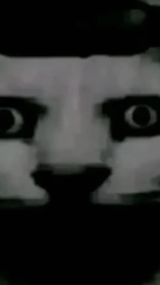 ai character: freaky sprout background