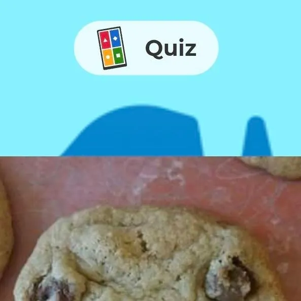 chat with ai character: Mr. Cookie