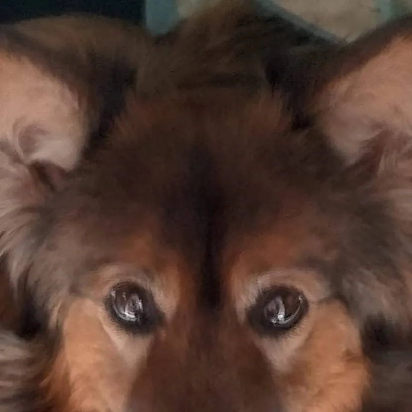 chat with ai character: paton