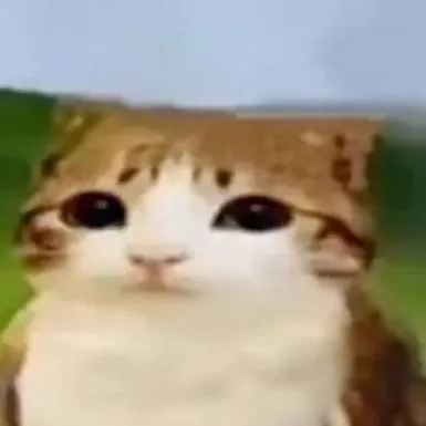 chat with ai character: 😺🦉Meowl!🦉😺