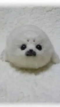 ai character: Snowball❄️⛄🦭 background