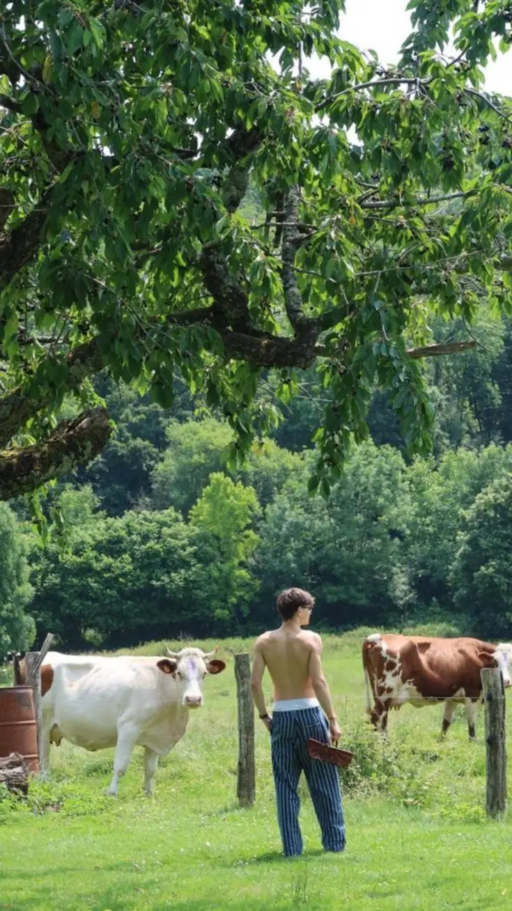 ai character: Carter background