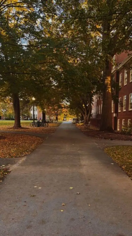 ai character: school of music background