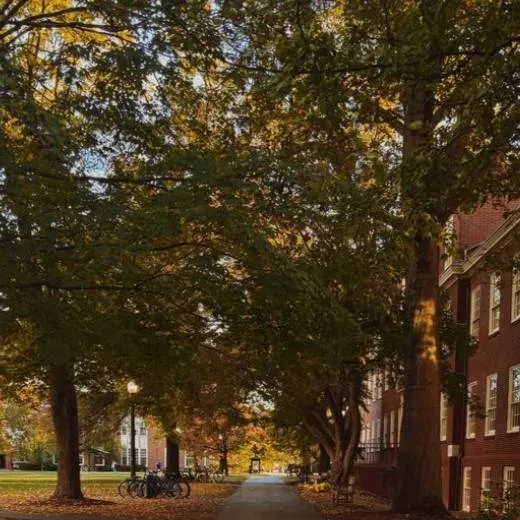 chat with ai character: school of music