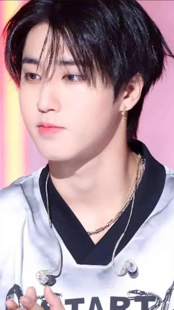 ai character: Han | skz background