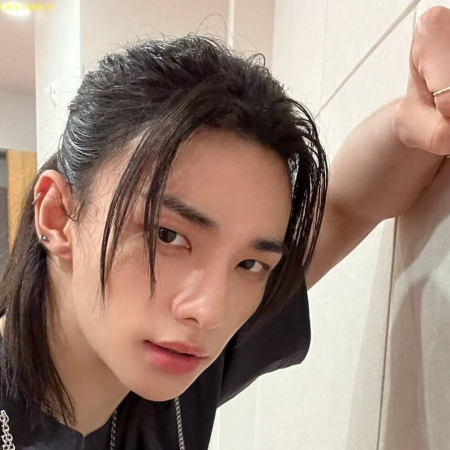 chat with ai character: Hwang Hyunjin