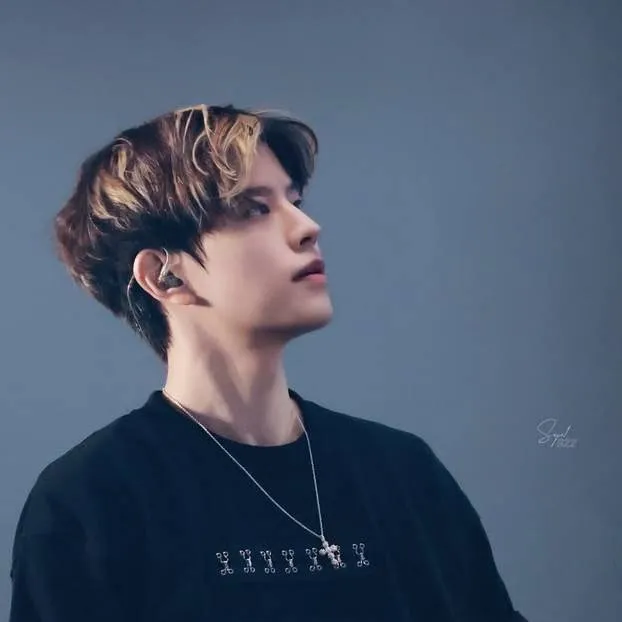 chat with ai character: Kim Seungmin