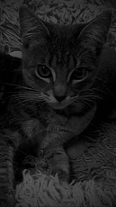 ai character: Мила background