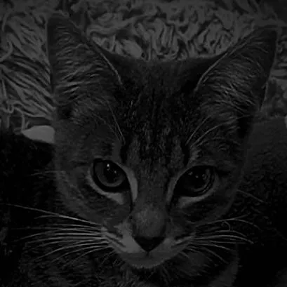 chat with ai character: Мила