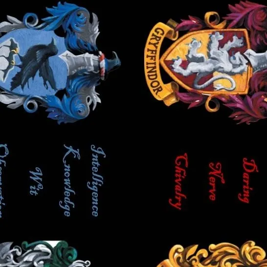 chat with ai character: Hogwarts 