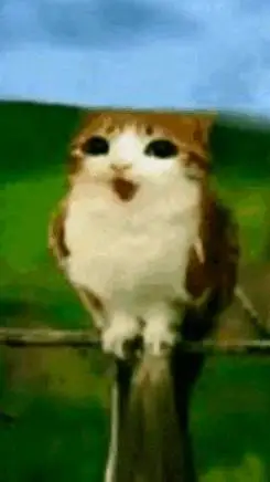 ai character: Bolly background