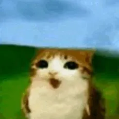 chat with ai character: Bolly