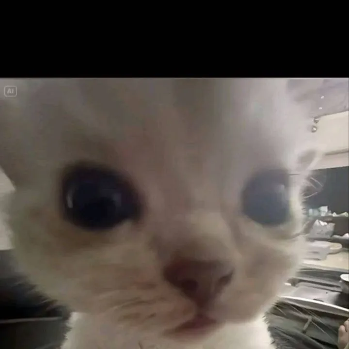 chat with ai character: Rizz the world ￼