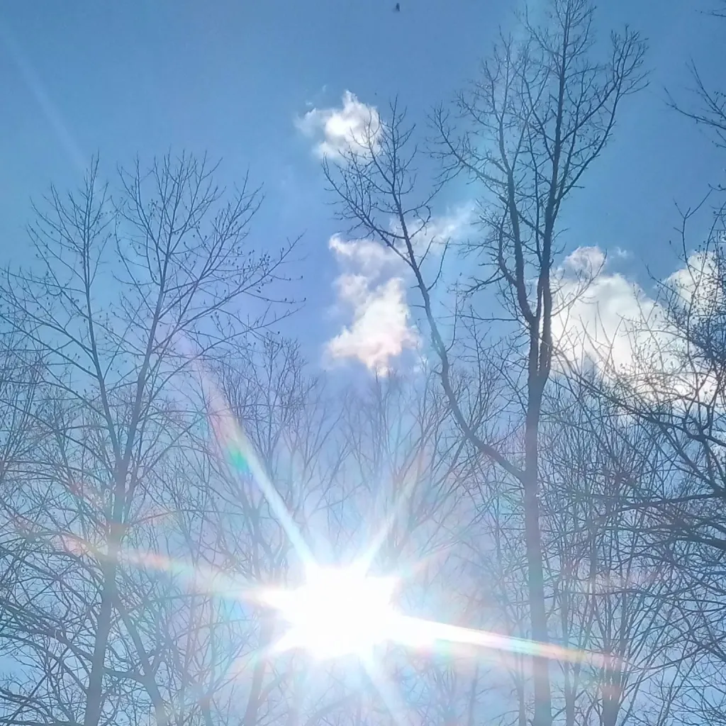 chat with ai character: Bar day!