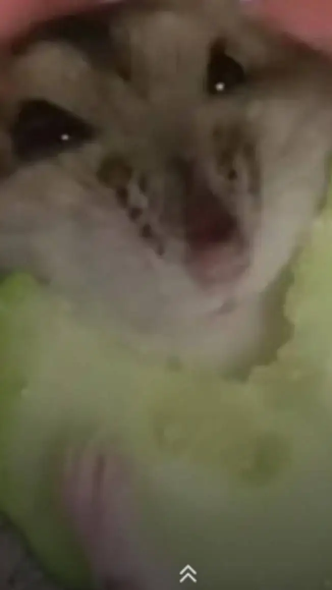 ai character: Hammy background