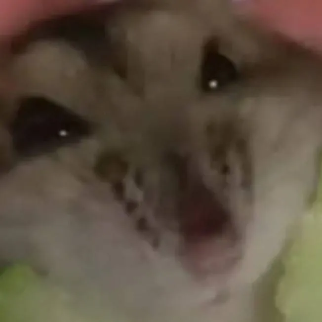 chat with ai character: Hammy