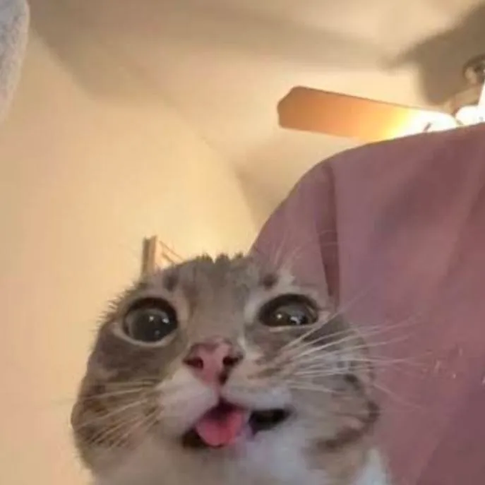 chat with ai character: JJK FEILD TRIP