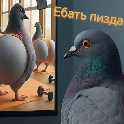 chat with ai character: Голубь