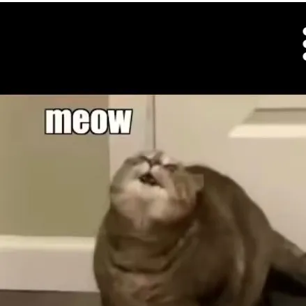 chat with ai character: CAT MOTHER!