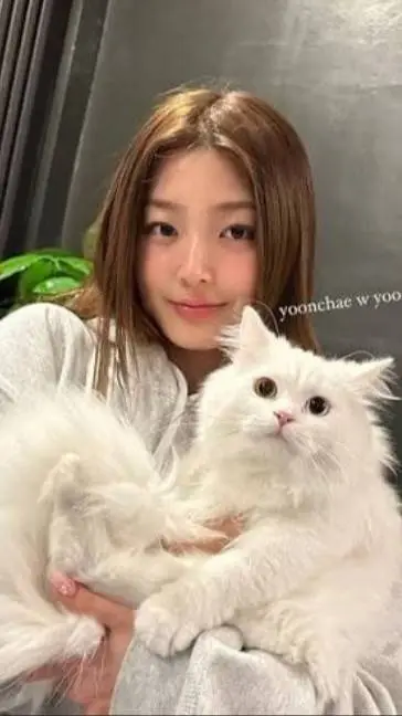ai character: Yoonchae background