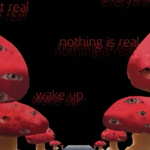 chat with ai character: THE MUSHROOM HALL