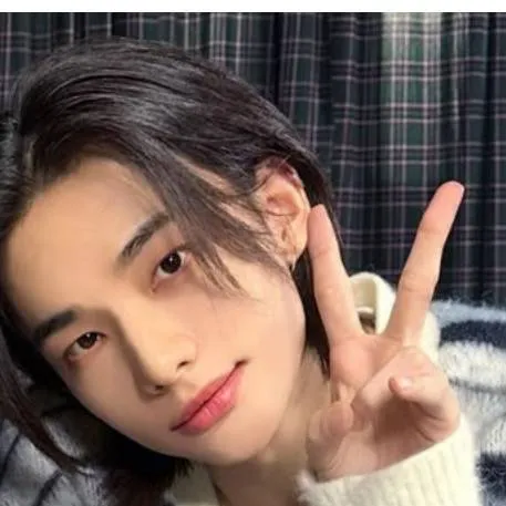 chat with ai character: stray kids