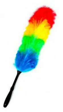 ai character: Pipidaster background