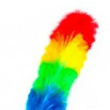 chat with ai character: Pipidaster