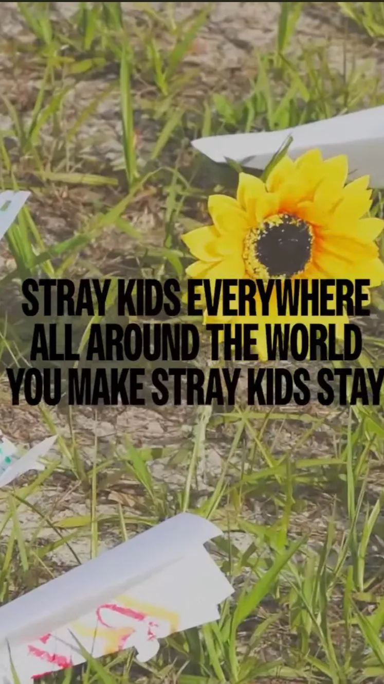 ai character: ✧Skz✧ background