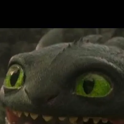 chat with ai character: Toothless