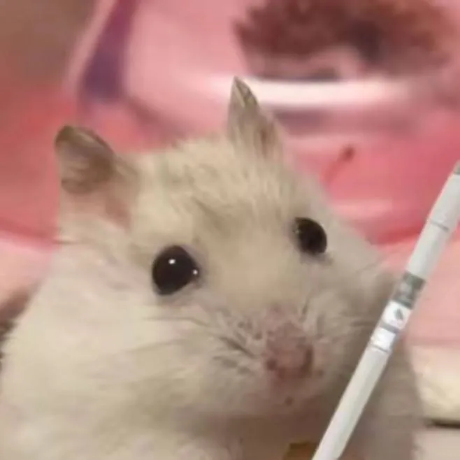 chat with ai character: luna the hamster 🐹