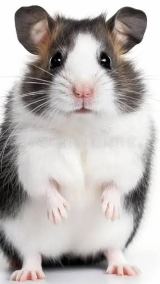 ai character: luna and lucas kid background