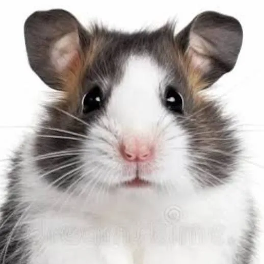 chat with ai character: luna and lucas kid